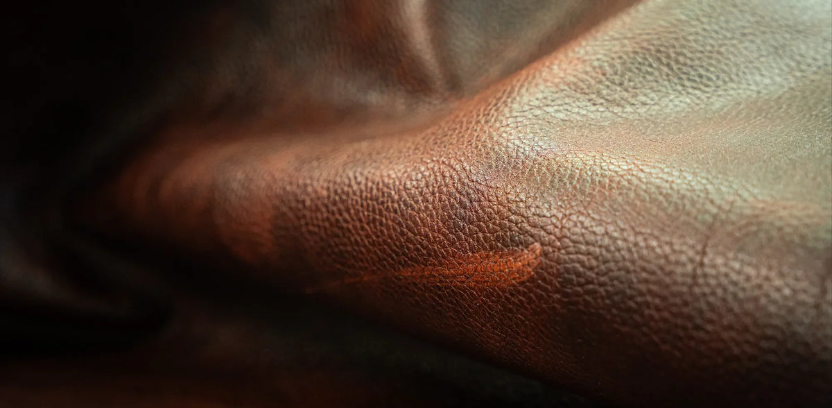 COGNAC GRAINED SHOE CARE