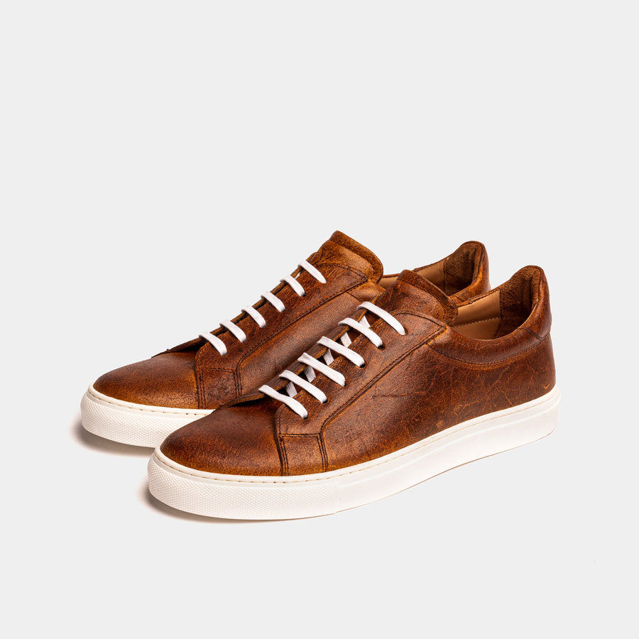 ANCOATS // COACH-Men's Casual | LANX Proper Men's Shoes