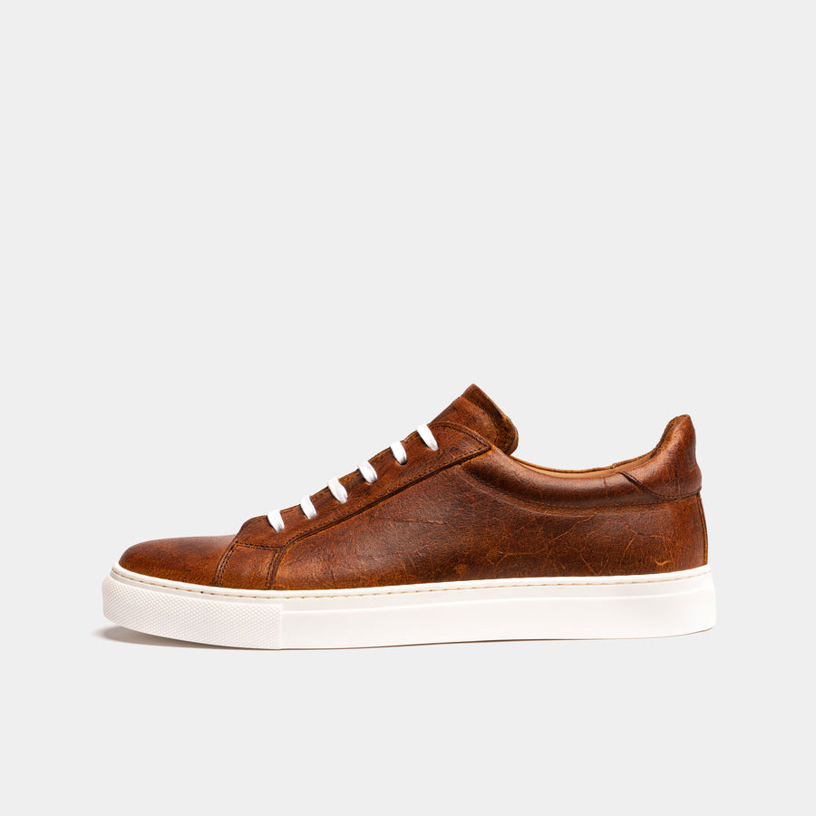 ANCOATS // COACH-Men's Casual | LANX Proper Men's Shoes