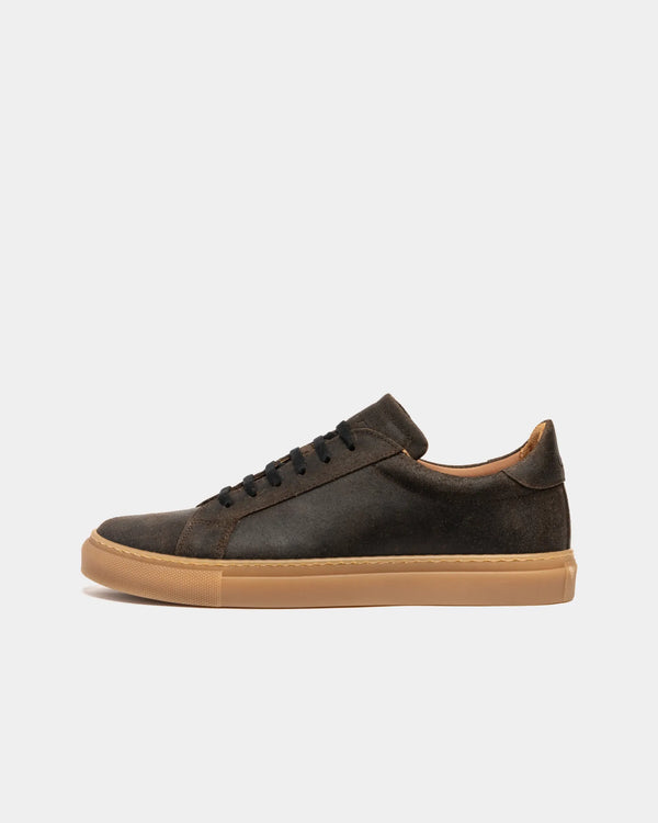 ANCOATS // WALNUT