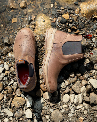 EDGWORTH / CONKER DISTRESSED