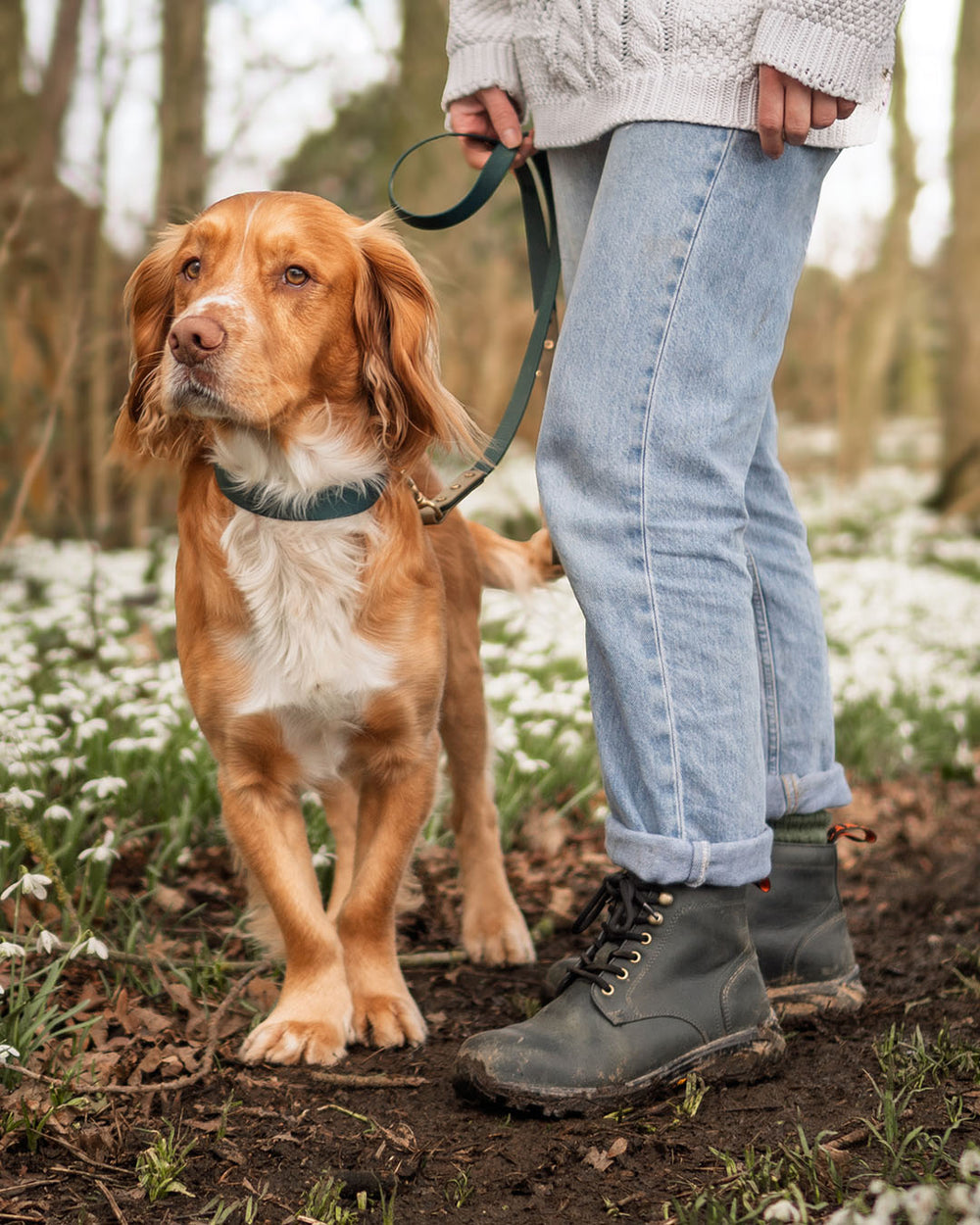 waggle.with.marley wearing LANX HESKETH