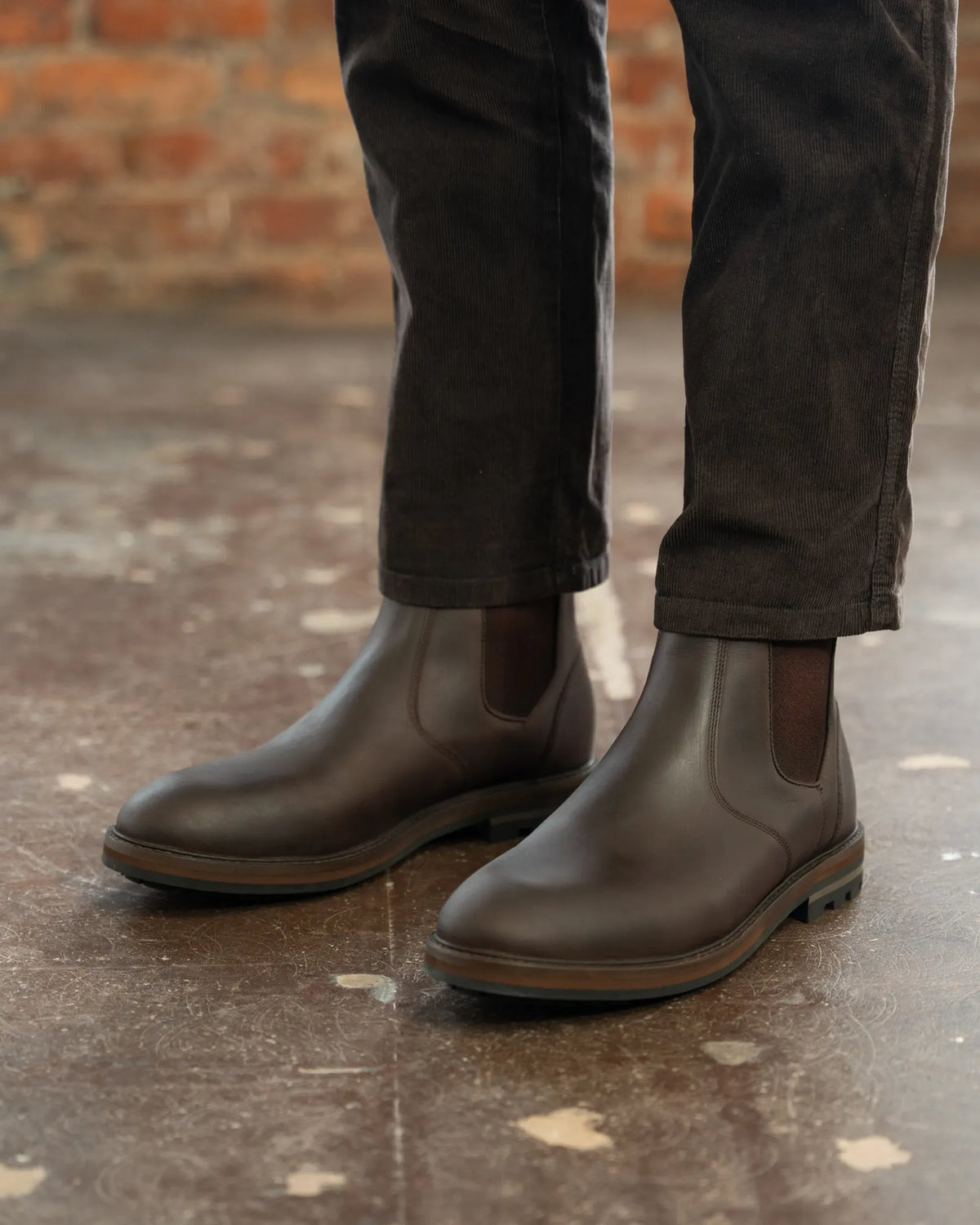 HOGHTON // BROWN DISTRESSED