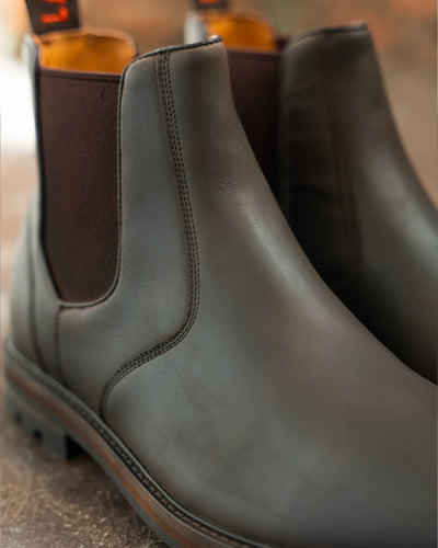 HOGHTON // BROWN DISTRESSED