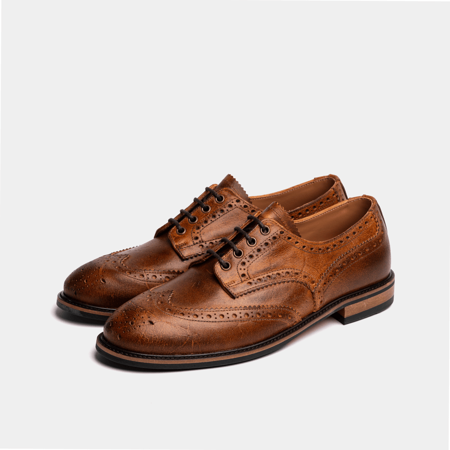 Coach 2025 derby shoes