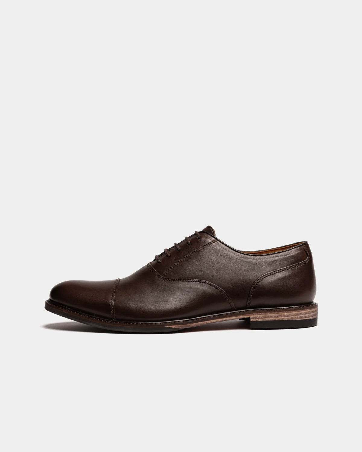 MAUDSLEY // BROWN