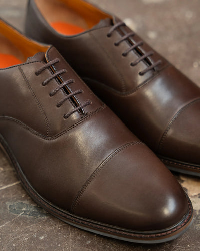 MAUDSLEY // BROWN