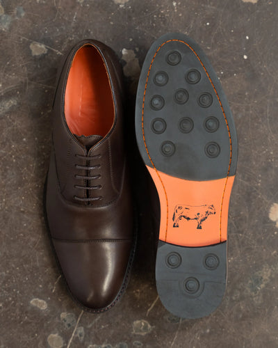 MAUDSLEY // BROWN