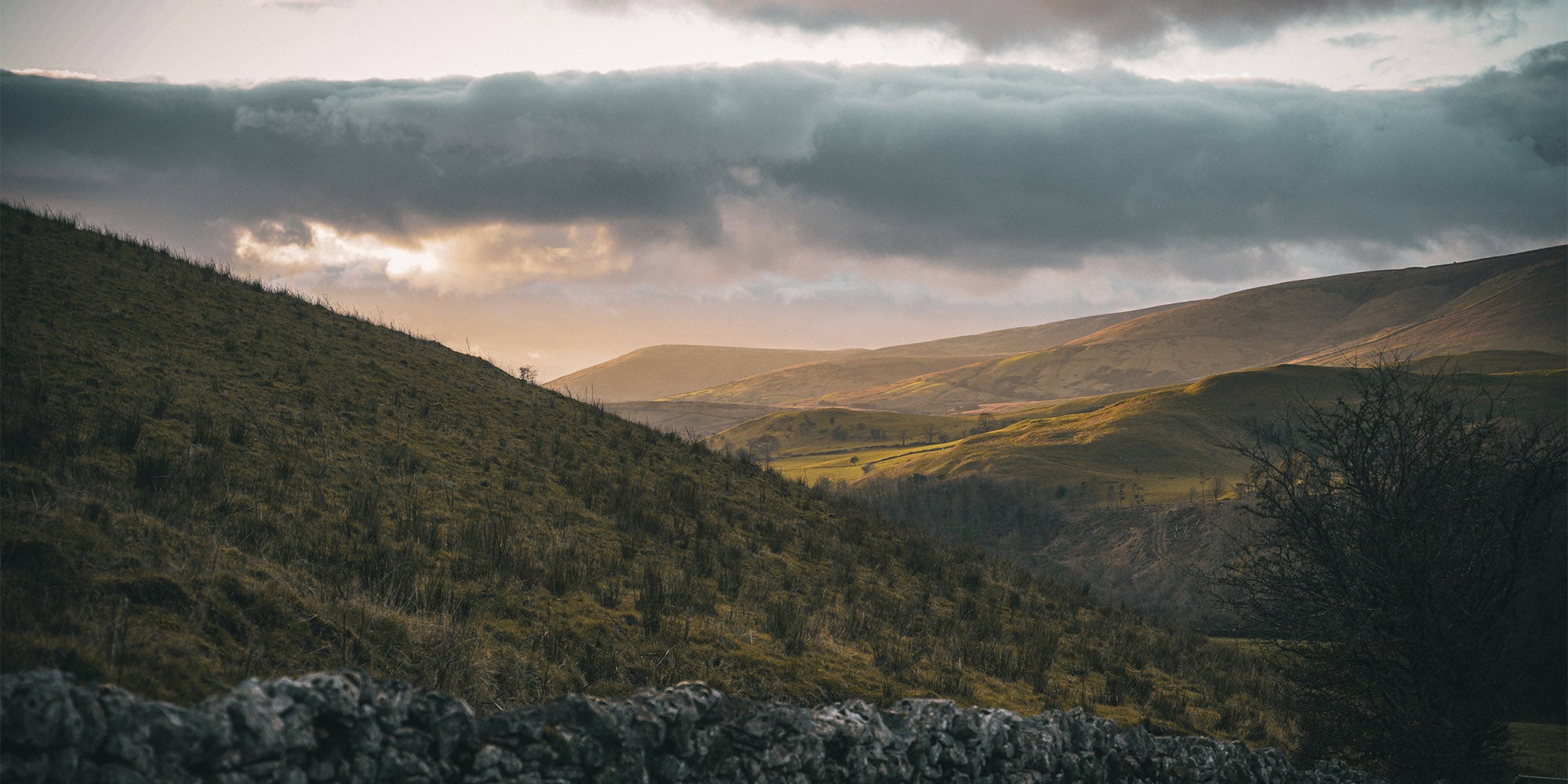 Men's Chelsea Boots - Back Door - Lanx