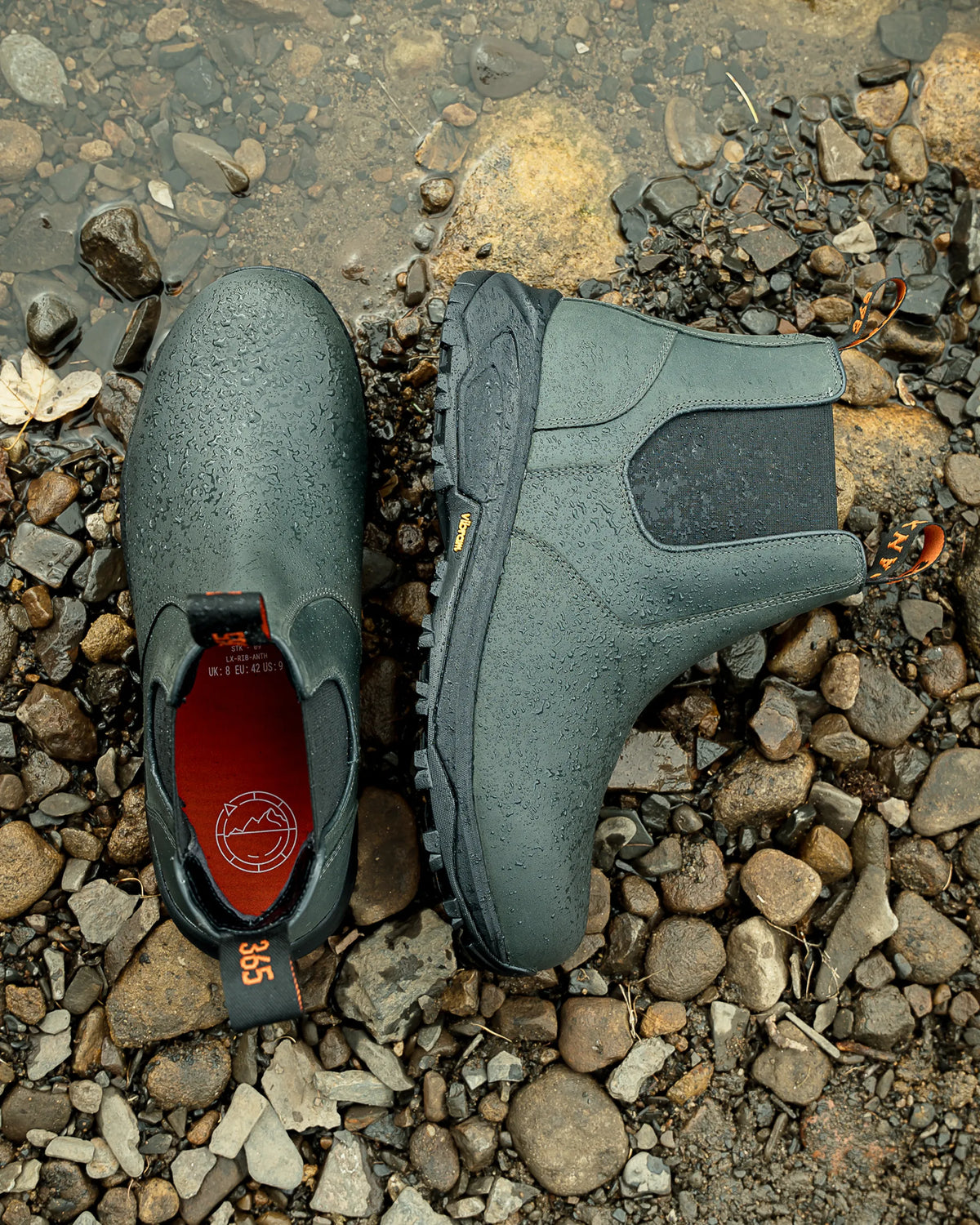 RIBCHESTER // ANTHRACITE