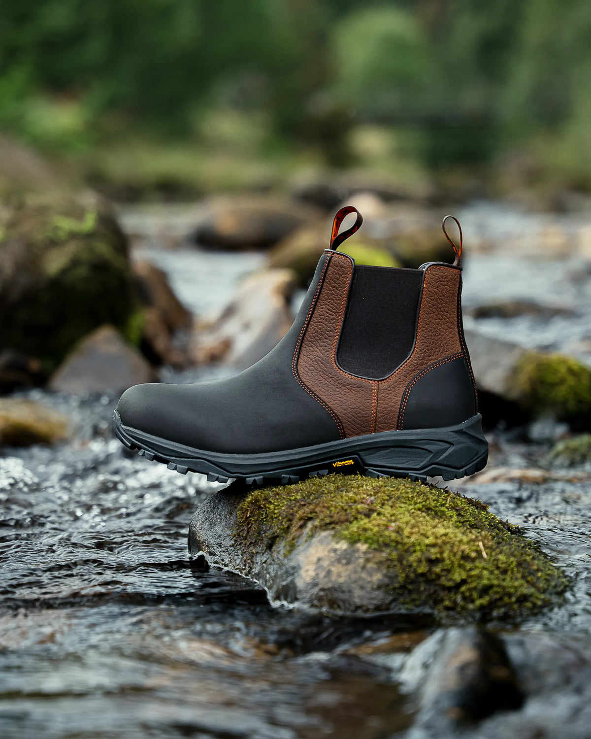 RIBCHESTER // BLACK & BROWN