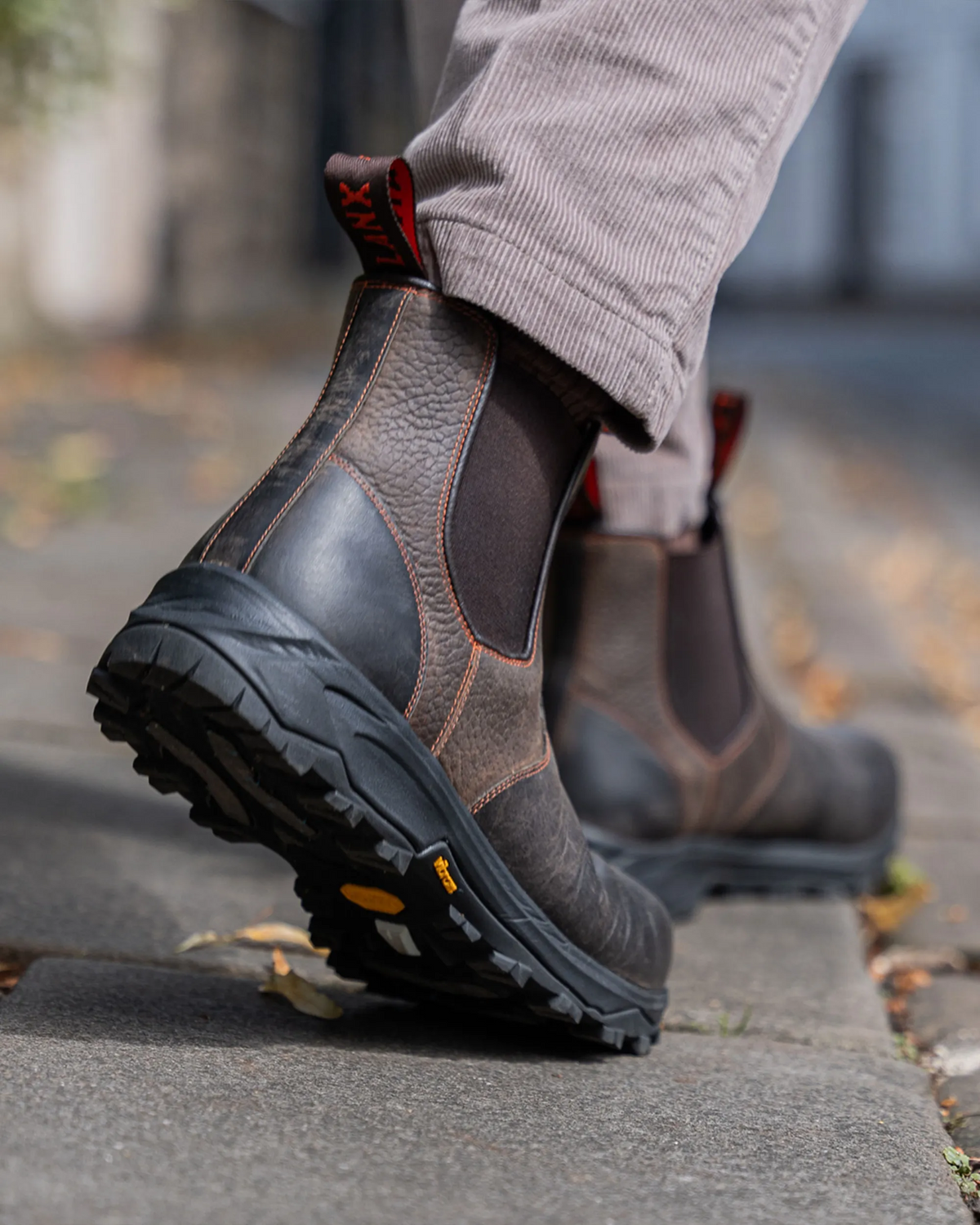 RIBCHESTER // BLACK & BROWN