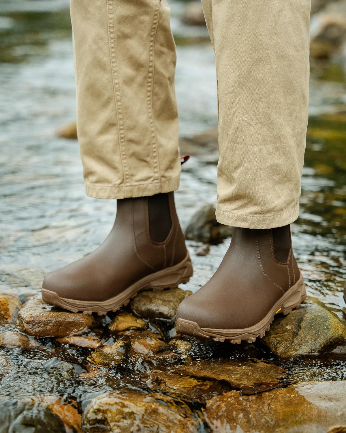 RIBCHESTER // CONKER DISTRESSED