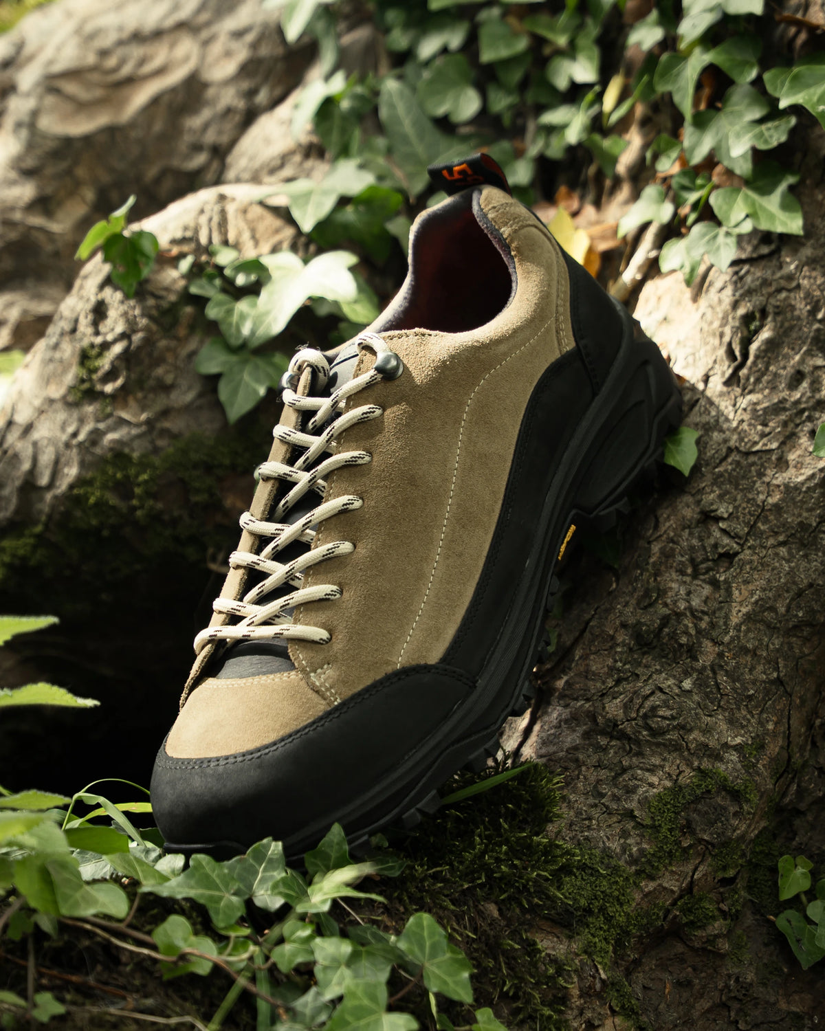 SCORTON // TAUPE