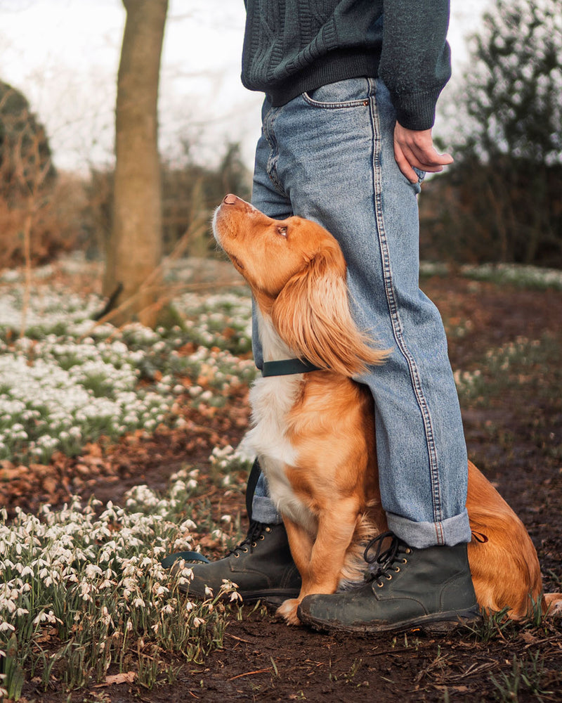 waggle.with.marley